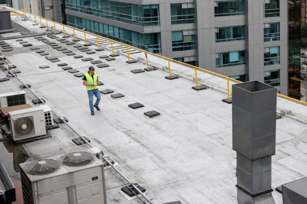 Best Roof Insulation Installation  in Nevada City, CA