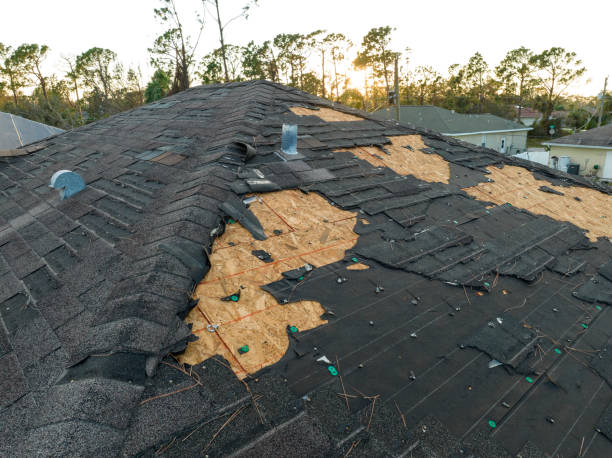 Best Roofing for New Construction  in Nevada City, CA